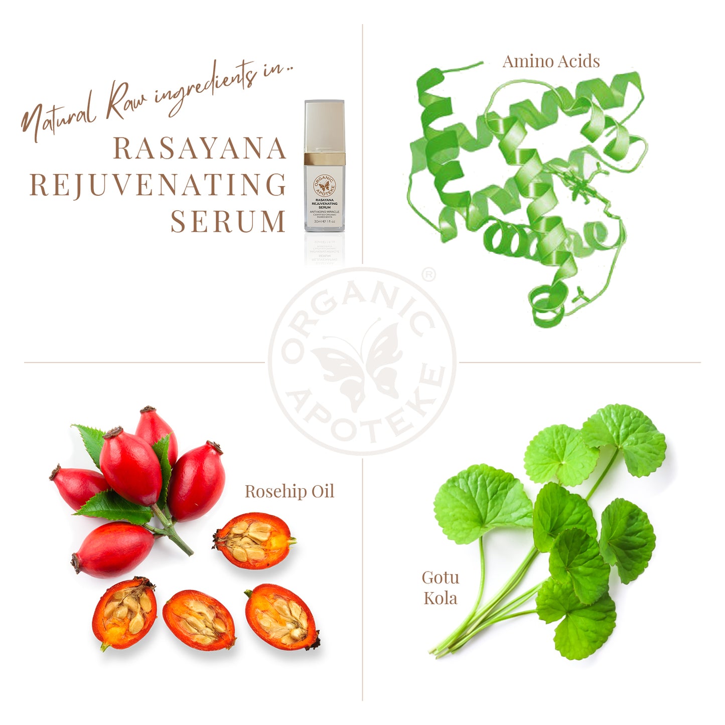 Six Serums in 1 Bottle - Rasayana Rejuvenating Serum